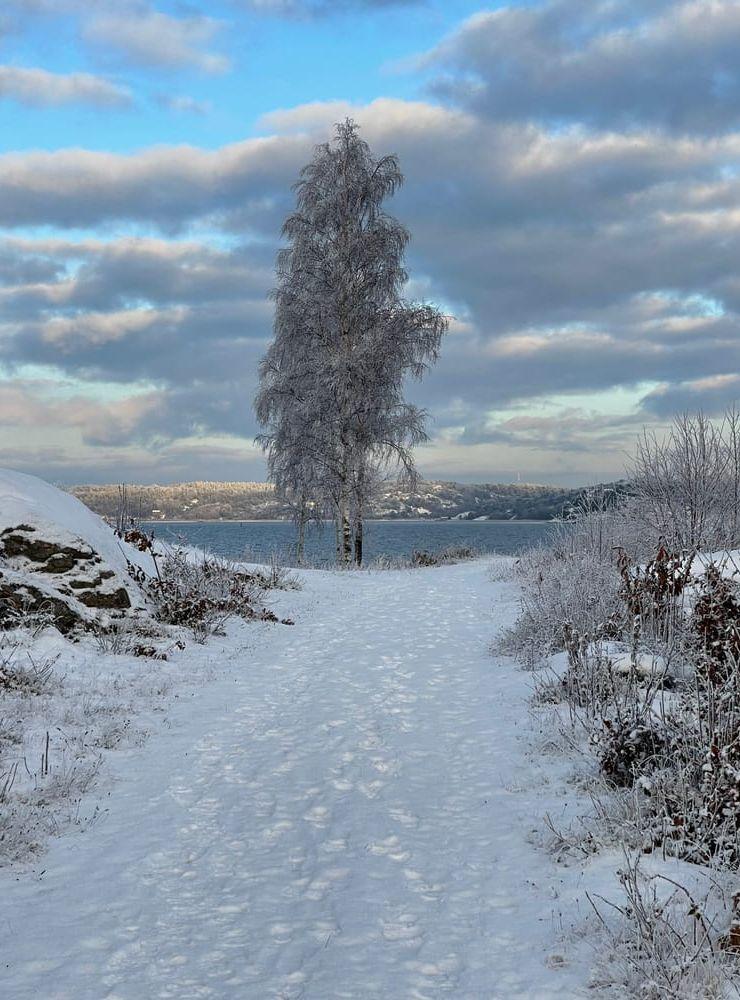 Vintern hälsade på och därborta ligga Svanvik.