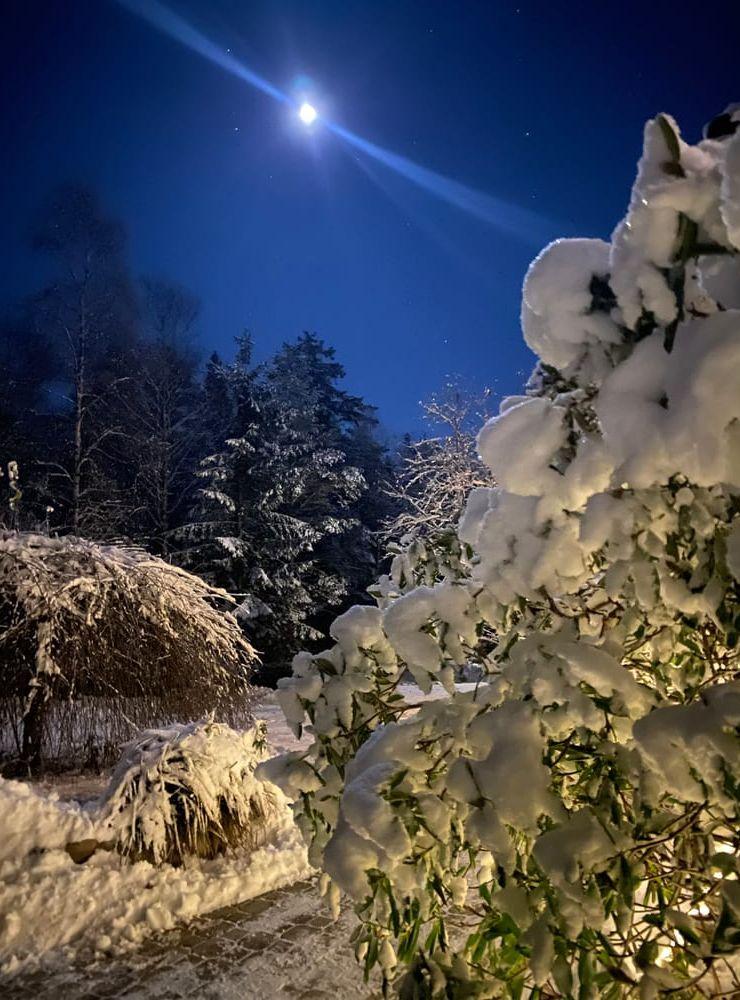 En kall kväll med månsken på Björkemyr Skredseröd, Henån.