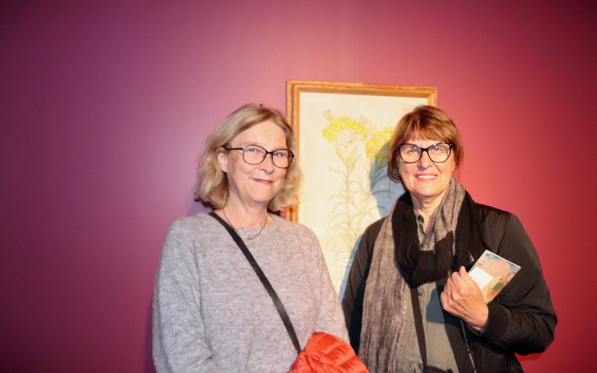 Barbro Haldorsson och Elisabet Klingström från Göteborg hade kommit för att se utställningen med  Hilding Linnqvist.