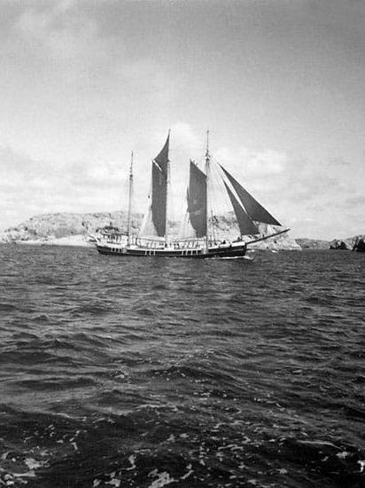 Tremastskonaren ”Fortuna” på Sotefjorden utanför Kornö. Cirka 1960. 