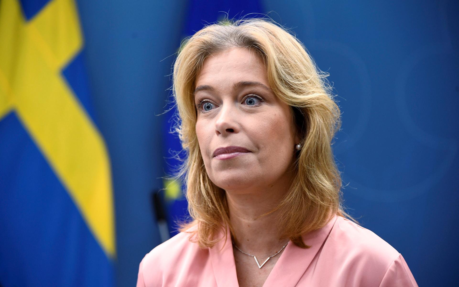 Klimat- och miljöministern Annika Strandhäll (S) höll pressträff om havsbaserad vindkraft.