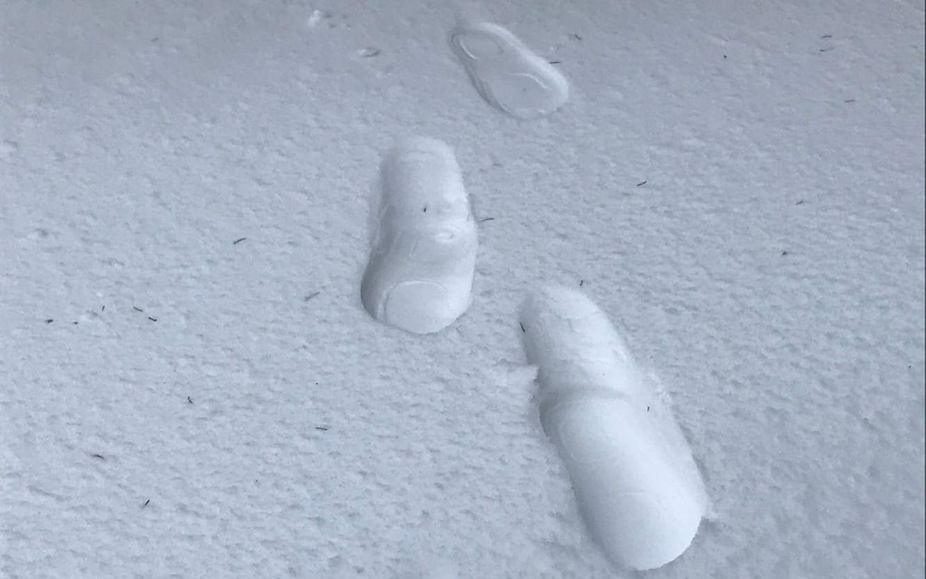 Fotspår i snön i Ucklum.