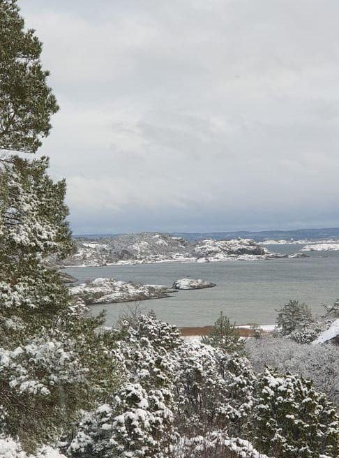 Bilden är från Mölnebo på Tjörn, utsikt över Hakefjorden.