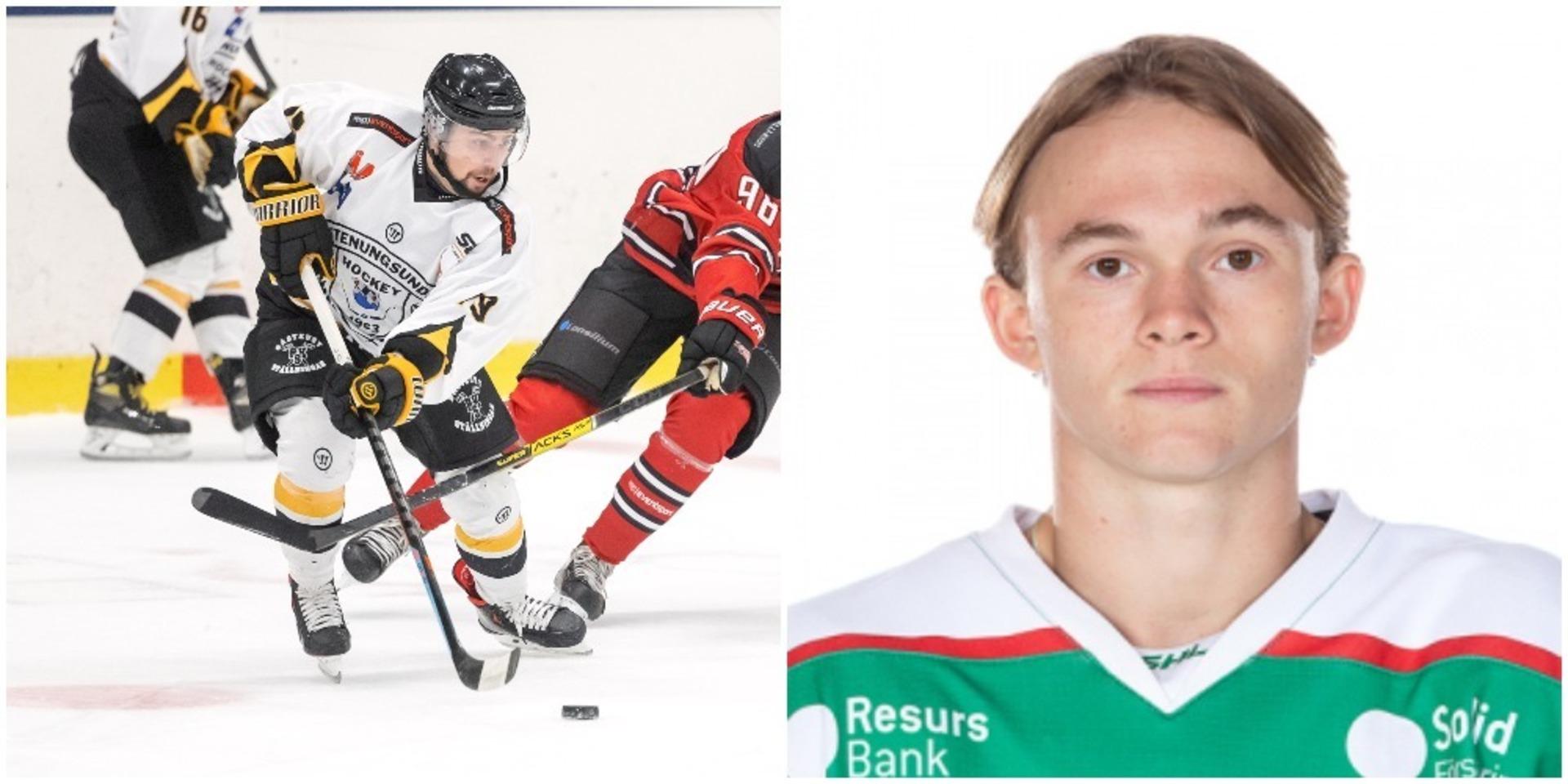 Den 19-årige centern Hugo Koch med meriter från Rögle BK blir det tredje nyförvärvet till Stenungsunds HF inför hockeysäsongen 2022/23.