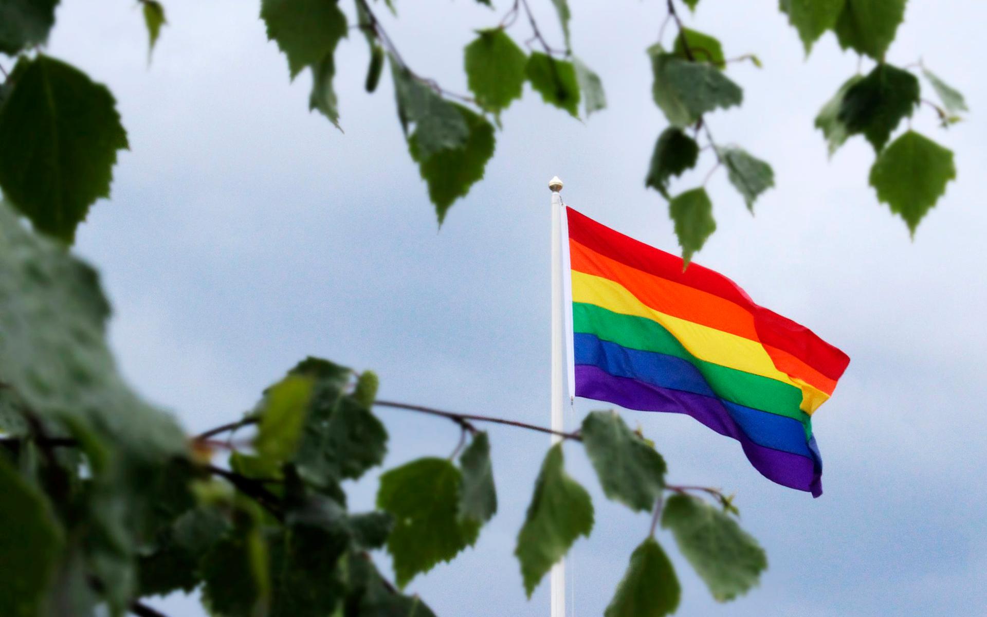 Regnbågsflaggan symboliserar mångfald och är känd över hela världen som en symbol för HBTQI-rörelsen.