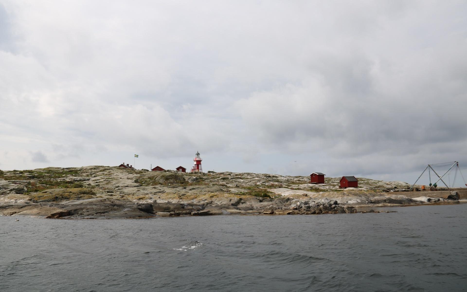 Måseskär har en av de svenska öar som geografiskt ligger västligast. Detta, i kombination med de strömmar som möts i havet, ger den en speciell flora och fauna. 