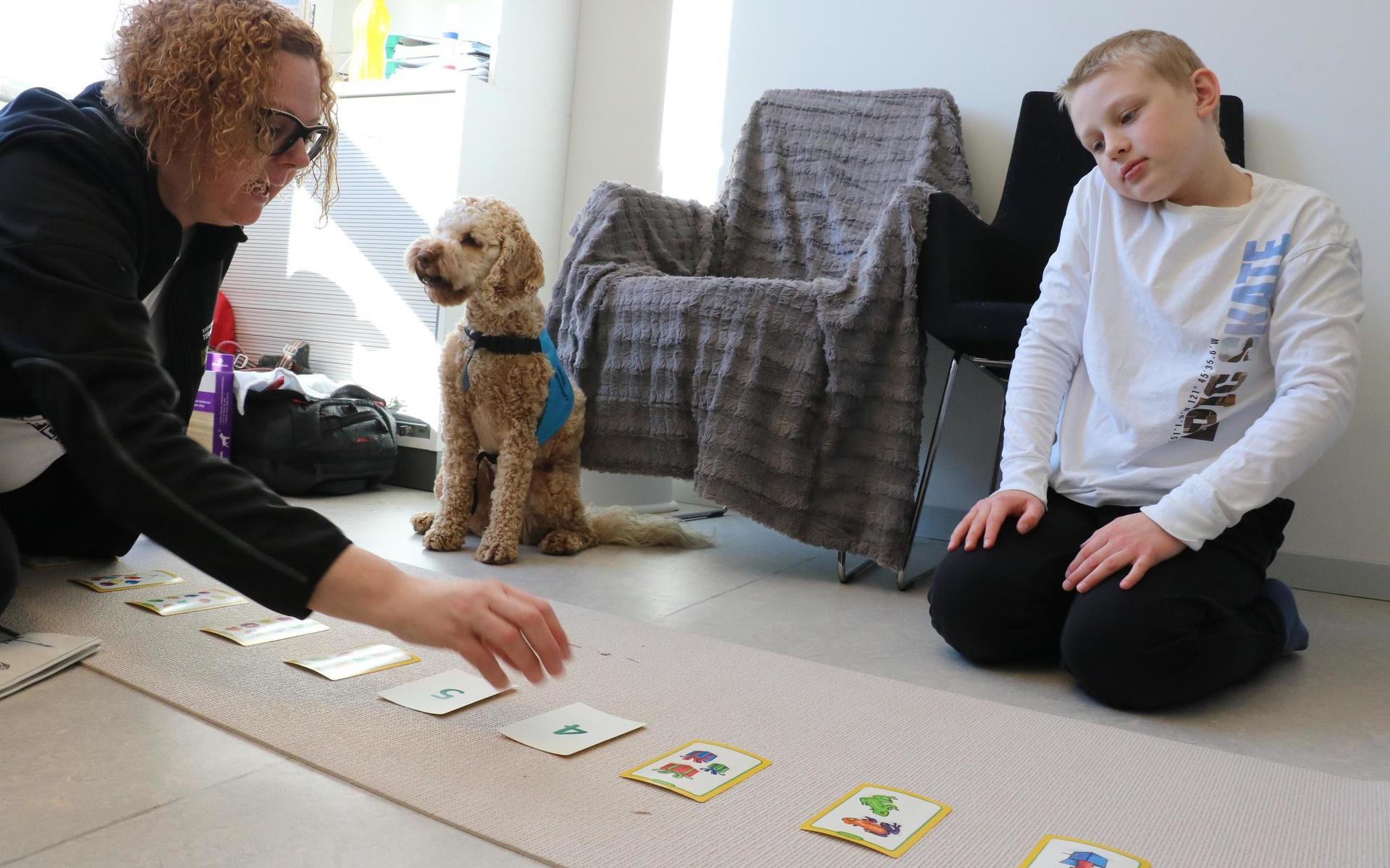 Axel Tellbjer kan tillsammans med skolhunden Stella räkna, de löser gemensamt uppgiften som pedagog Linda Andersson lagt upp för dem. 