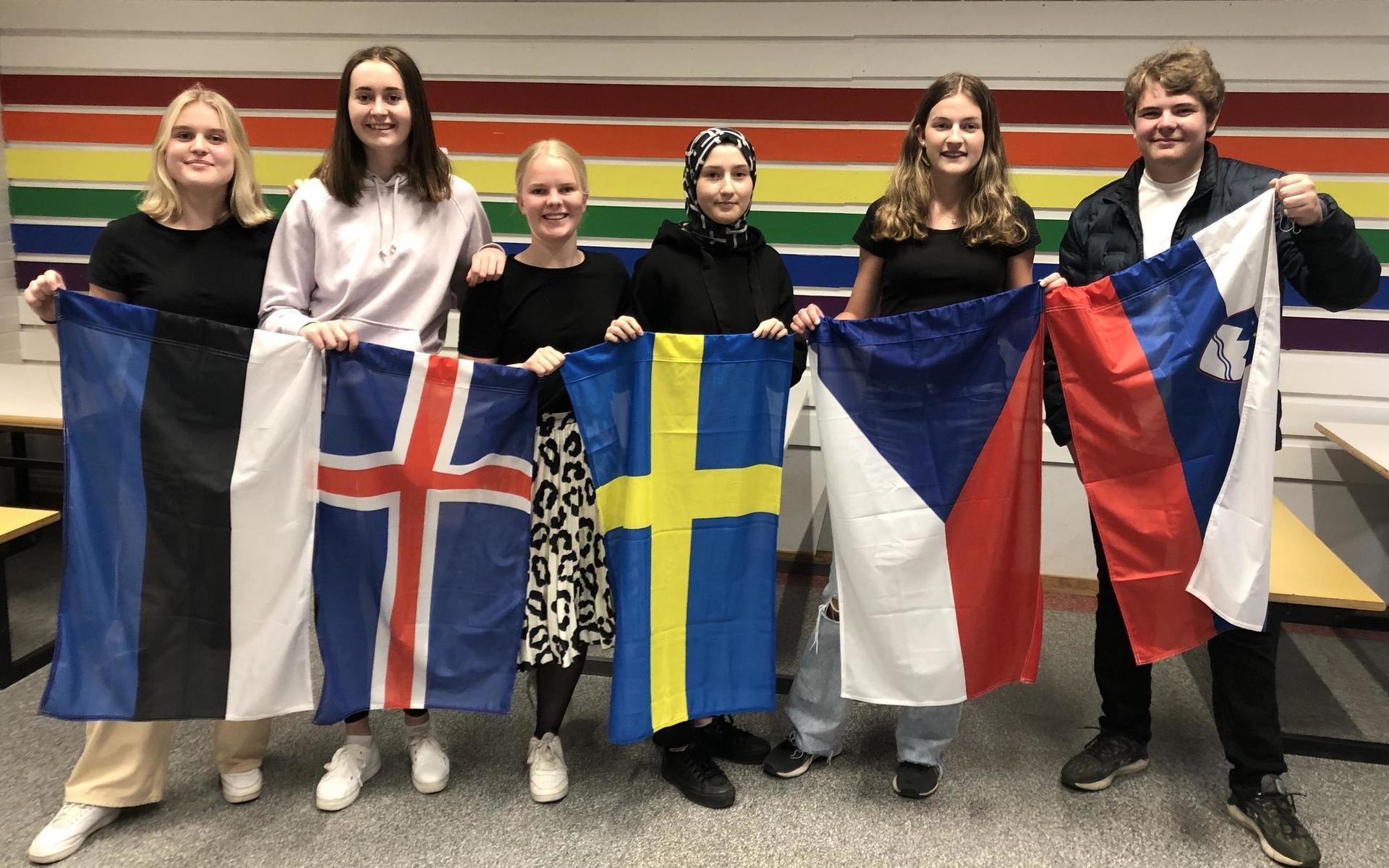 Embla Halvarsson, Saga Hogsved, Salma Nilsson, Roqaey Hamadi, Clara Nilsson och Vincent Rosvall i svenska gruppen som medverkat i det europeiska skolprojektet.