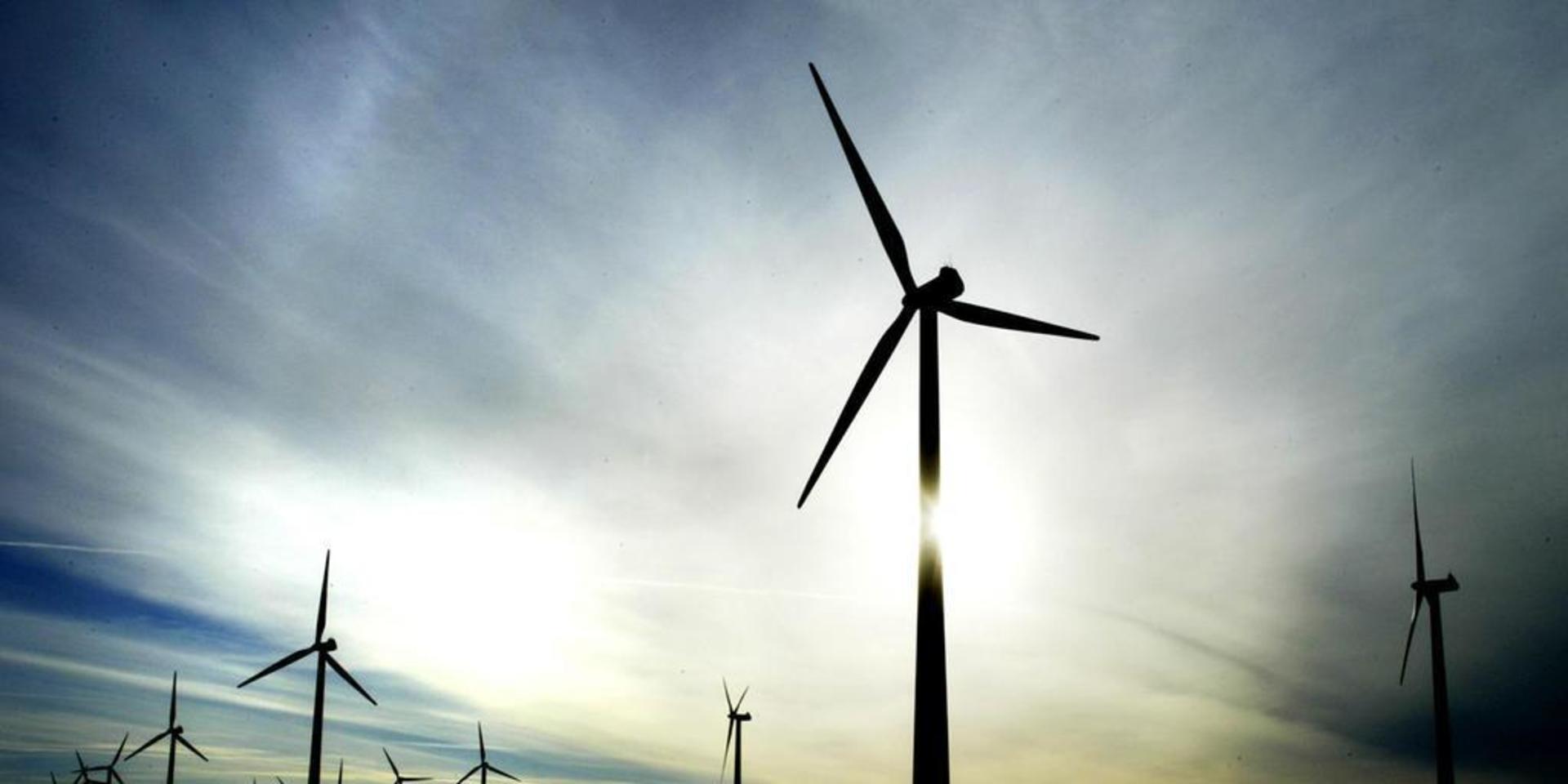 Upp till 94 vindkraftverk planeras i havet utanför Tjörn. Bild: Jari Välitalo