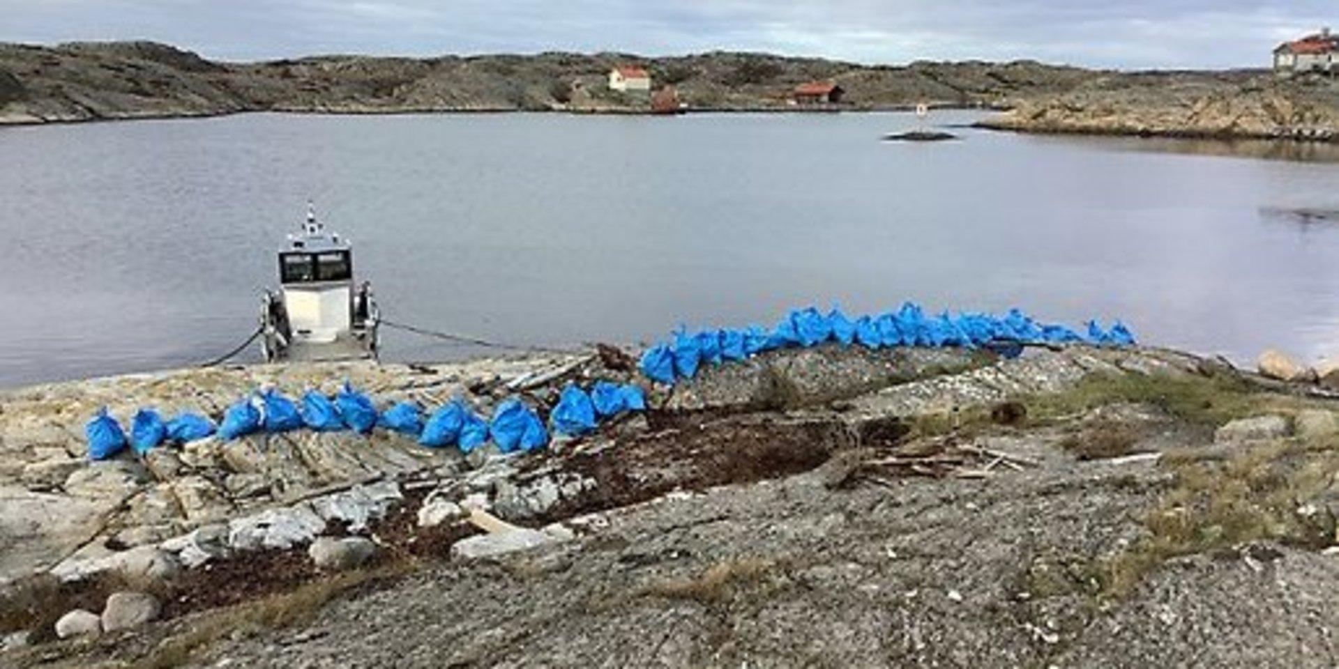 680 kilo insamlat skräp i blåa säckar i väntan på att lastas för båttransport till Månsemyr.
